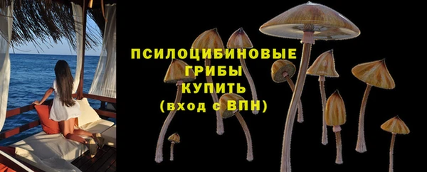 кокс Ростов