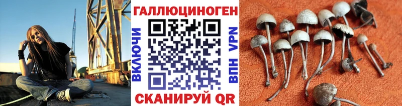Псилоцибиновые грибы Psilocybe  OMG зеркало  Весьегонск 